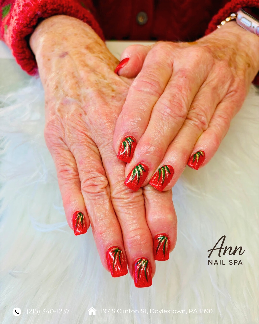 Ann's Nail Spa Doylestown, PA 18901